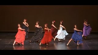 Flamenco  quotBailandoquot ShakallisDance2014 [upl. by Tiga]