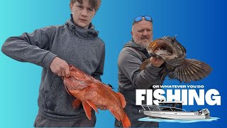 CatchCleanCook  Lingcod amp Giant Vermilion  Neah Bay  Almost Eaten By A Giant Sea Lion [upl. by Bernarr]