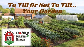 Tilling vs No Till Gardening Which Is Best For You [upl. by Attenyl985]