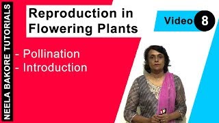 Reproduction in Flowering Plants  NEET  Pollination  Introduction  Neela Bakore Tutorials [upl. by Animahs772]