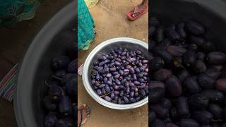 Farmers market in Nigeria [upl. by Naraa]