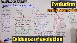 Evidence of evolution  Class 12 Biology [upl. by Anni]