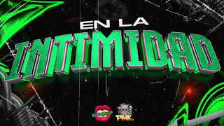 EN LA INTIMIDAD  Dj Pirata ft Dj Luciano Troncoso guaracha aleteo techengue [upl. by Etnom]