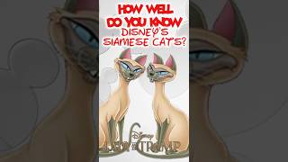 4 rare facts about Disney’s Siamese cats from the Lady and the Tramp short shorts siamesecats [upl. by Arriaes]