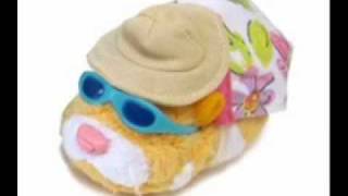 Zhu Zhu Pets Outfits New Season 2010 [upl. by Anidnamra]