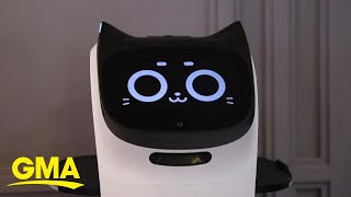 Catlike robot waiter purrrfectly cheers up cafe customers l GMA Digital [upl. by Wes886]