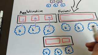 Isolating Synthetic Agglutinative and Fusional [upl. by Ahtnammas]