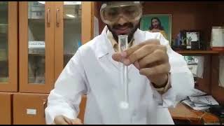 Chemistry Practical Identification of Gases [upl. by Esau325]