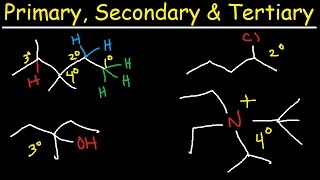 Primary Secondary Tertiary amp Quarternary Hydrogen and Carbon Atoms [upl. by Arutek647]