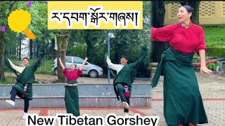 New Trending Tibetan Gorshey 2024༼ར་དབག་སྒོར་གཞས།༽ ལྷག་དཀར་བཟང་། སྒོར་གཞས་གསར་པ། tibetangorshey [upl. by Atla]