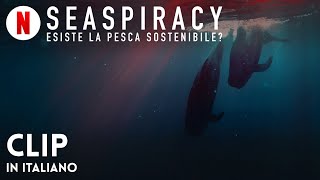 Seaspiracy esiste la pesca sostenibile Clip  Trailer in italiano  Netflix [upl. by Rubens857]