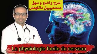 La physiologie du cerveau 🧠 درس فيسيولوجية المخ [upl. by Pathe]