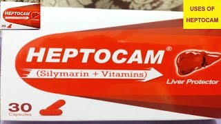 HEPTOCAM SilymarinVitaminCap For  Liver TonicFatty Liver Chronic Hepatitis amp Cirrhosis Liver [upl. by Mommy]