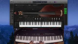 Ample Sound Upright Bass Review and Demo [upl. by Akinnej66]