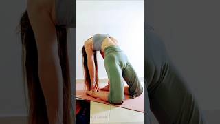 Flipping my dog 🐕yoga downwarddog threeleggeddog bridge balance shorts [upl. by Neryt192]