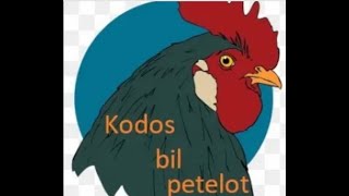 Kodos bil petelotPolicajci na smena [upl. by Kirstin215]