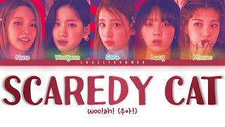 wooah 우아 – SCAREDY CAT 겁쟁이 Lyrics Color Coded HanRomEng [upl. by Ellenet528]