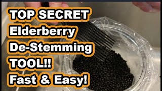 Easiest Best Fastest way to destem Elderberries remove the stems tricks amp hacks elderberry [upl. by Eecyak814]