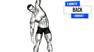 Sculpt Your Back amp Core 9 Essential Noequipment Home Workouts [upl. by Ztnahc509]