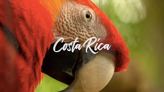 Costa Rica  4k Epic Cinematic  Nature Wildlife Surfing  Travel Film  2021 [upl. by Ycats]