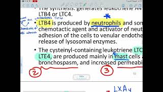 Mediators of inflammation بالعربي [upl. by Zsa Zsa849]