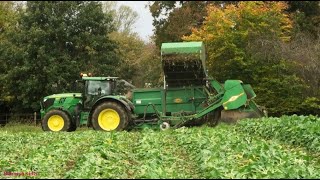 Beet Lifting with John Deere and Armer Salmon [upl. by Akimehs649]