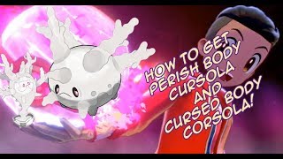 Where To Get Hidden Ability PERISH BODY CURSOLA \ CURSED BODY CORSOLA  Pokemon Shield [upl. by Stewart]