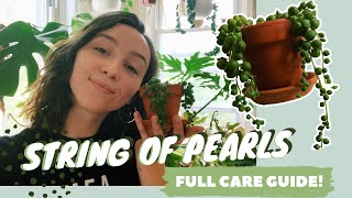 STRING OF PEARLS CARE  PROPAGATION  senecio rowleyanus tips [upl. by Naldo]