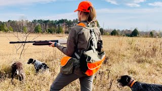 GWP vs WPG Wirehaired Pointers quailhunting in Mississippi [upl. by Safoelc]