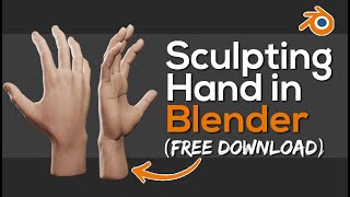 Sculpting Hand in Blender [upl. by Oecile]