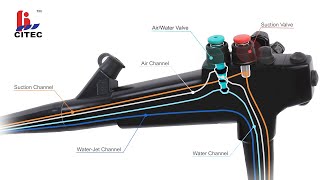 CITEC™ Disposable Endoscope Valves System For Olympus Endoscopes5piece Valves Kit [upl. by Annabal]