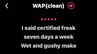 WAP Clean lyrics by Cardi B ft Megan theeKaraoke Version [upl. by Jael960]