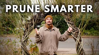 PRUNE SMARTER with these 3 questions [upl. by Artkele]