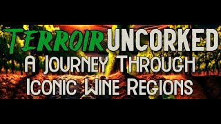 Terroir Uncorked Part 4 A Journey Through Iconic Wine Regions [upl. by Parik]