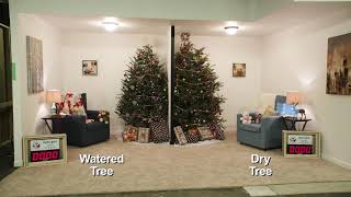 2018 CPSC Holiday Decorations Safety Press Conference [upl. by Squires209]