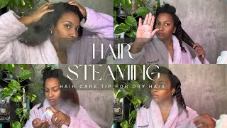 Ultimate Natural Hair Steaming Guide [upl. by Alisia408]