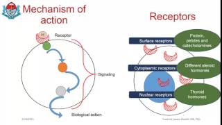 Fundamental concepts in endocrine physiology part 8 [upl. by Akiraa]