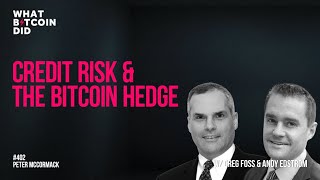 Credit Risk amp The Bitcoin Hedge with Greg Foss amp Andy Edstrom [upl. by Ariaz]