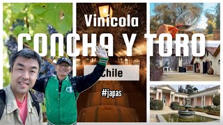 Conheça o Chile Conheça Concha y Toro  Tour e Degustação de Vinhos  Vinícola Concha y Toro [upl. by Coraline]