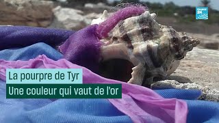 La pourpre de Tyr  une couleur qui vaut de l’or CulturePrime [upl. by Durware]