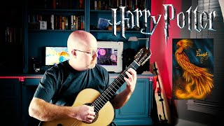 Fawkes the Phoenix from Harry Potter and the Chamber of Secrets Acoustic Fingerstyle Cover [upl. by Wohlen995]