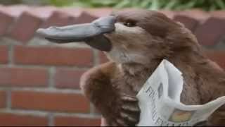 TV Commercial  Lunchables  New Spokesman  Talking Platypus Smoothie Kabobbles [upl. by Idnil]