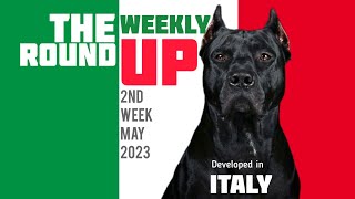 2nd Week May 2023  Cane Corso Origin Italy  Angora Rabbits  The Weekly Roundup by Boskys Kennel [upl. by Kaehpos]