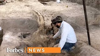 De basurero a excavación arqueológica [upl. by Leugim782]