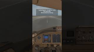 Flight Factor 777v2 landing at LLBG flightfactor boeing777 ff777v2 [upl. by Quiteria]