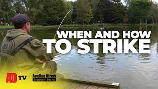 When And How To Strike – Coarse Fishing Beginner Basic [upl. by Llehsar778]