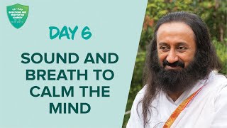 Sound amp Breath To Calm The Mind  Day 6 of 10 Days Breath And Meditation Journey With Gurudev [upl. by Ramyar]