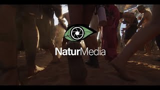 NATUR MEDIA EVENTS REEL 2023 [upl. by Adnalue]