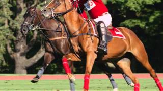 United States Polo Association  Discover the Sport [upl. by Oad]