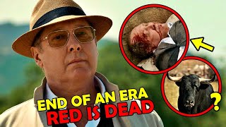 The Blacklist Series Finale  Who is Reddington How Does He Die All You Need to Know  Ending [upl. by Karina2]